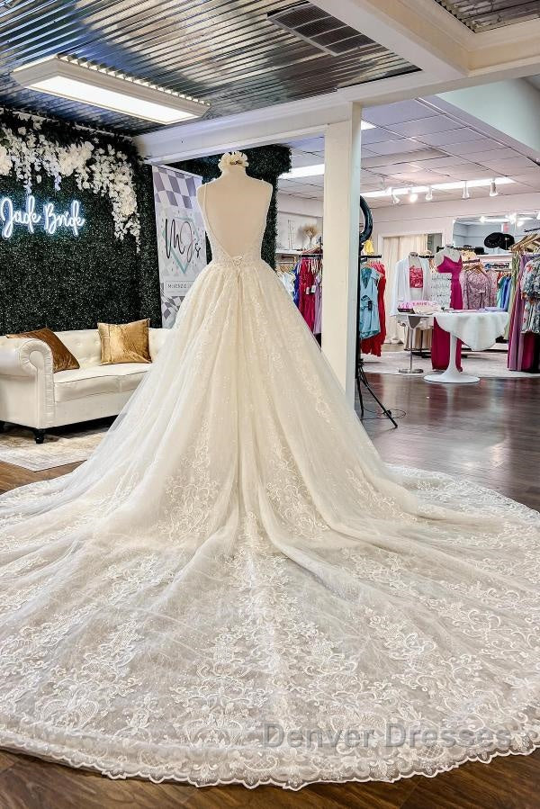 Chic Long A-line V-neck Floral Lace Open Back Wedding Dress