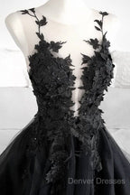 Classic Black Lace Tulle Long Prom Dress Black Evening Dress