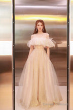 Cute Tulle Long Prom Dress, Shiny A-Line Evening Graduation Dress