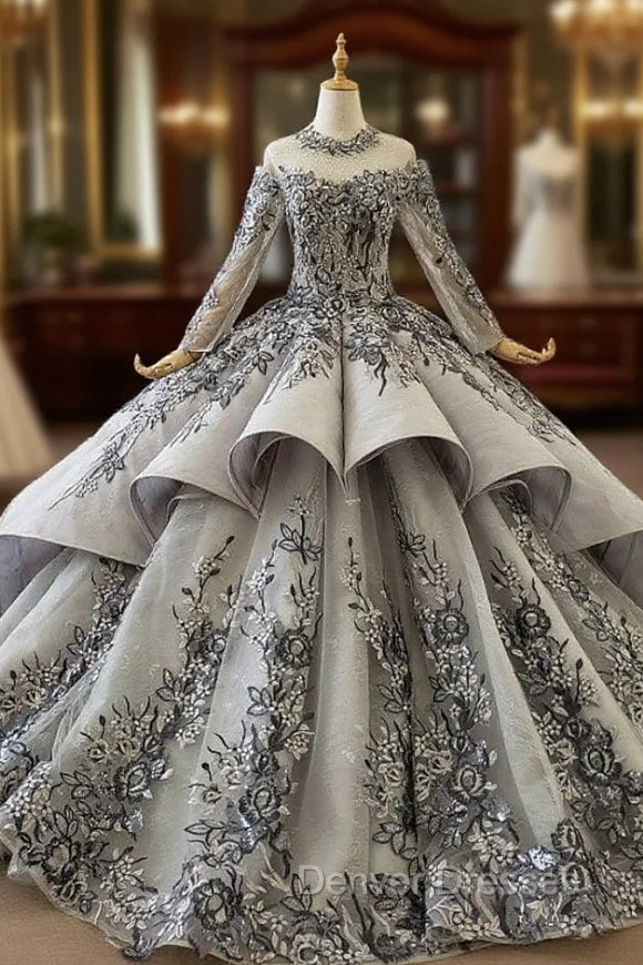 Dark Gray Ball Gown Tulle Embroidery Appliques Long Sleeve Wedding Dress Main image