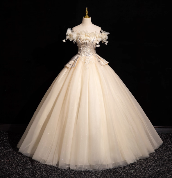 Elegant Champagne One-Shoulder 3D Floral Tulle Long Ball Gown Evening Dress Sweet 16 Dress Main image