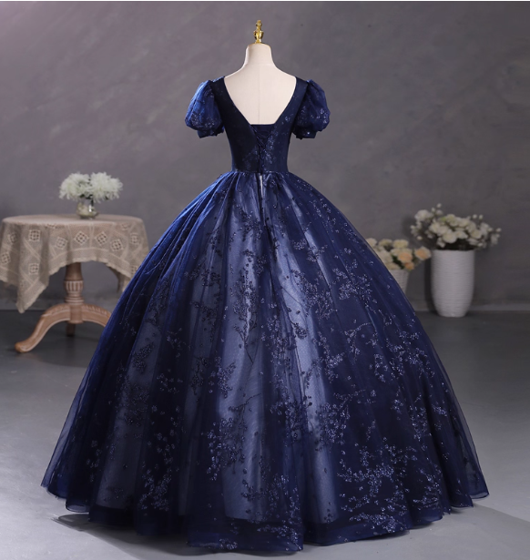 Elegant Court Navy Blue Crew Neck Puff Sleeve Embroidered Tulle Ball Gown Evening Dress Sweet 16 Dress