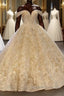 Elegant Long Ball Gown Off the shoulder Tulle Lace Wedding Dress