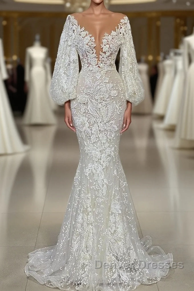 Elegant Long Mermaid V-neck Tulle Lace Wedding Dress with Sleeves Main image