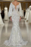 Elegant Long Mermaid V-neck Tulle Lace Wedding Dress with Sleeves