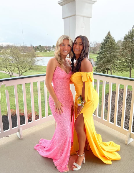 Elegant Mermaid Sequin Pink Long Prom Dress Formal Dress