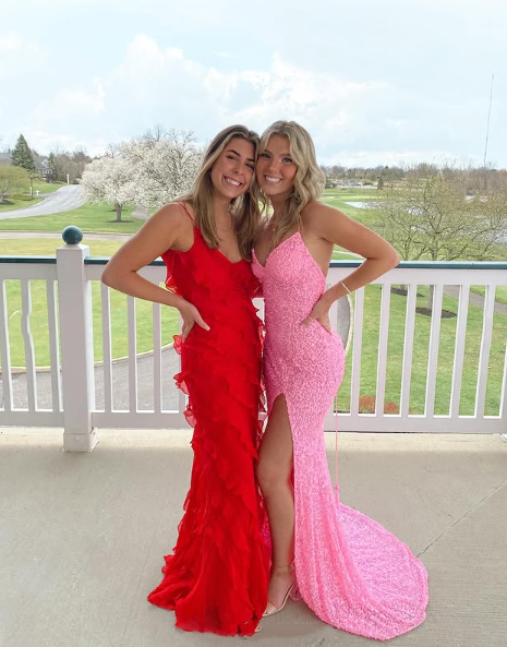 Elegant Mermaid Sequin Pink Long Prom Dress Formal Dress