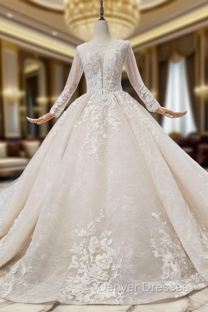 Fabulous Champagne Ball Gown Tulle Appliues Long Sleeve Beading Wedding Dress Main image