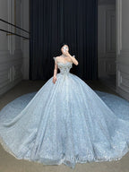 Fairytale Ball Gown Strapless Neckline Sequin Light Sky Blue Long Wedding Dress Brides Dress