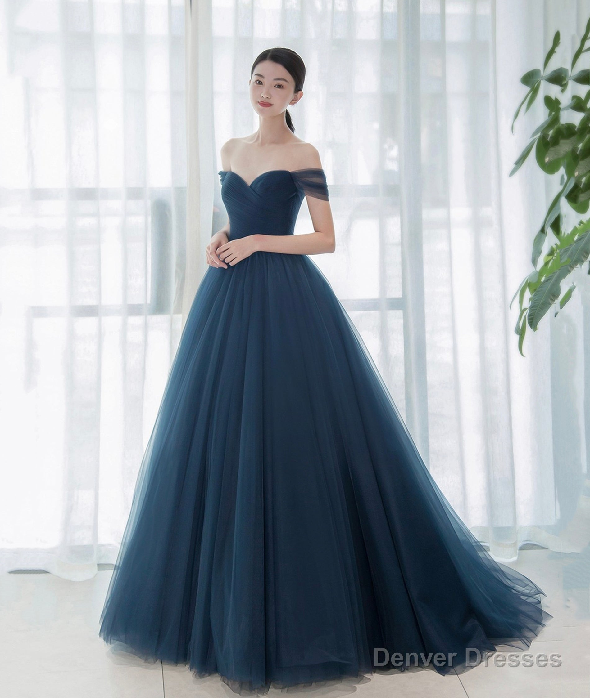 Elegant Tulle Long A-Line Prom Dress, Blue Off the Shoulder Evening Party Dress