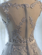 Glamorous Long Evening Dresses Lace Cameo Pink Party Dress A Line Applique Tulle Maxi Formal Dress