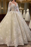 Glamorous Long Sleevess Lace A line Bridal Gown Pirncess Wedding Dress