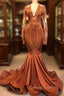 Gorgeous Mermaid V-neck Long Sleevess Prom Dress
