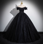 Gothic Court Black Off-The-Shoulder Shimmer Tulle Ball Gown Evening Dress Sweet 16 Dress