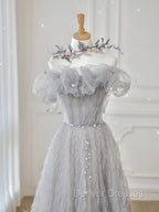 Gray Tulle Off Shoulder Long Prom Dress, Gray Evening Dress
