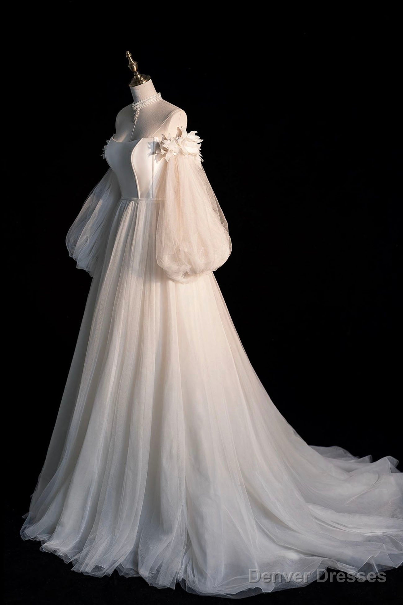 Champagne Tulle Long Sleeve Prom Dress, Off the Shoulder Evening Dress