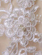 Lace Boho Wedding Dress Fleshcolor Tulle Bridal Gown Backless A-Line Court Train Beach Wedding Dress With Detachable Satin Sash