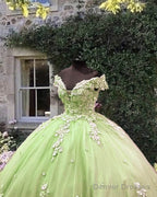 Light Green Off Shoulder Ball Gown Dress With 3D Lace Flowers