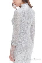 Long Sleeve Mermaid Prom Dresses Silver Sequins Trumpet