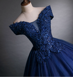 Luxurious Court Navy Blue One-Shoulder Embroidered Sequin Tulle Ball Gown Evening Dress Sweet 16 Dress