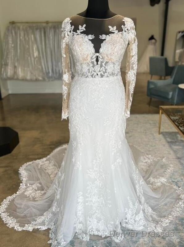 Mermaid Tulle/Lace Wedding Dress With Long Sleeves Main image