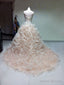 Mitzvah Dress Stunning Champagne Quinceanera Dress Masquerade Ball Gowns