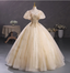 Princess Champagne Gold Square Neck Puff Sleeve Gold Embroidered Floral Tulle Ball Gown Evening Dress Sweet 16 Dress