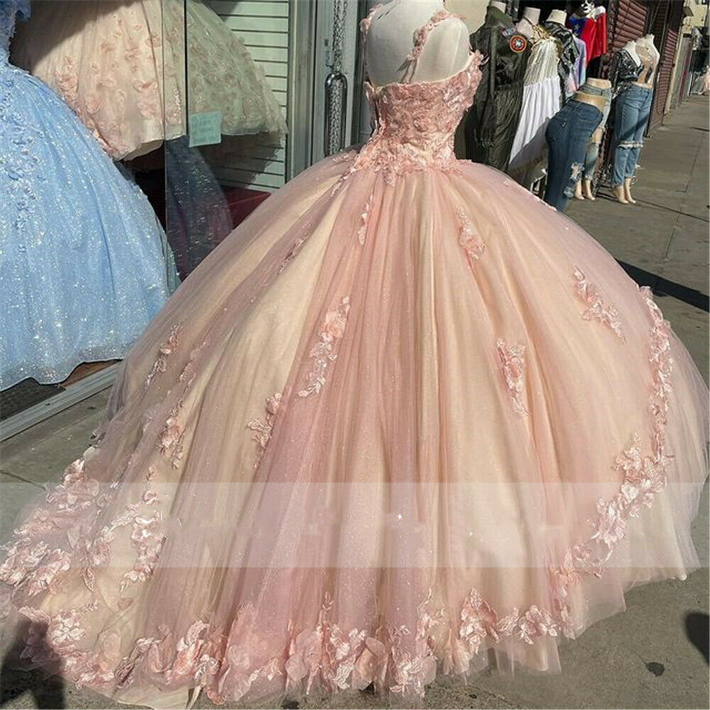 Princess Pink Quinceanera Dress Lace Appliques Sweet 15 Party Prom Ball Gown