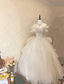 Princess White Off-The-Shoulder Tulle Floor-Length Ball Gown Evening Dress