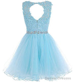 Charming Light Champagne Short Lace Beaded Party Dress, Tulle Homecoming Dress, Formal Dress