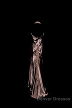 Retro Mermaid V Neckline Chiffon Brown Evening Dress Prom Dress