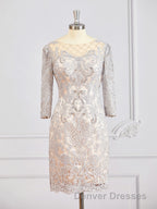 Sheath/Column Bateau Short/Mini Chiffon Mother of the Bride Dress With Appliques Lace