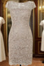Simple Knee Length Lace Mother Of The Bride Dress Formal Prom Dress