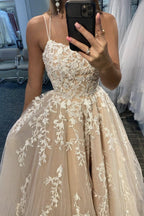 Simple Spaghetti Straps A-Line Lace Appliques Tulle Long Prom Dress