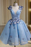 Sky Blue Homecoming Dress Butterfly Applique Short Prom Dress