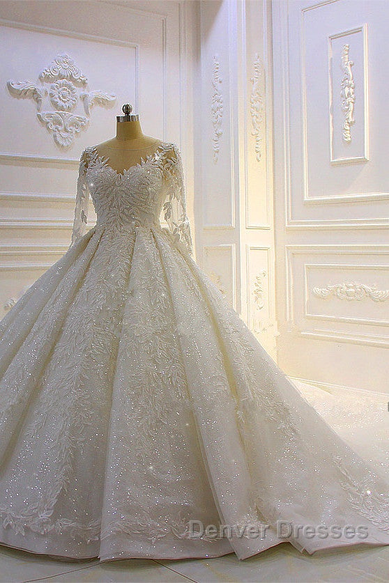 Sparkle 3D Lace Appliques Long Sleevess Church Train Wedding Dress