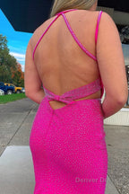 Sparkly Hot Pink Mermaid Sequins Open Back Long Prom Dress