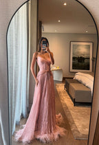 Special A Line Sweetheart Pleated Chiffon Pink Sleeveless Feathers Long Prom Dress Inspo Prom Gown
