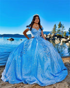 Tulle Princess Off Shoulder Long Formal Prom Dress, Long Strapless Pink Flower Appliqu¨¦S Evening Dress