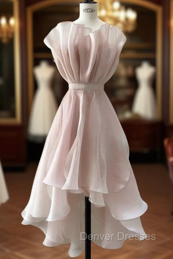 Vintage A-Line Organza Pink Homecoming Dress 18Th Birthday Outfits Main image