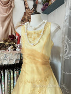 Vintage Yellow A-Line Boat Neck Tulle Long Prom Dress Simple Embroidery Applique Evening Dress