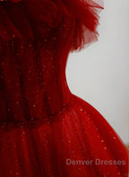 Wine Red Tull A-Line Scoop Long Prom Dress, Wine Red Tulle Evening Dress