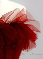 Wine Red Tull A-Line Scoop Long Prom Dress, Wine Red Tulle Evening Dress