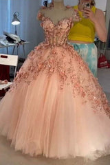 Prom Dress Stores, Princess Sparkly Sweetheart Prom Dresses with 3d Flowers, Pink Quinceanera Dresses
