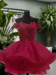 Long Dress Formal, Ball-Gown Off-the-Shoulder Appliques Lace Short/Mini Organza Dress