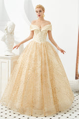 Party Dress Dress Up, Champagne Gold Off-the-Shoulder Tulle Ball Gown Sequins Princess Prom Dresses for Girls