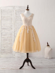 Chiffon Dress, Champagne V Neck Tulle Lace Applique Short Prom Dresses