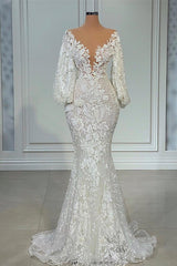 Wedding Dress With Pockets, Elegant Long Sleeves Mermaid V-neck Tulle Lace Wedding Dresses
