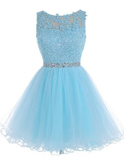 Prom Dress Prom Dresses, Lace Blue Fitted Short Cute Sweet 16 For Teens Homecoming Dresses