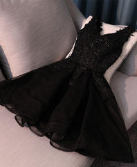 Elegant Dress For Women, Black V Neck Lace Short Prom Dress, Homecoming Dresses, Homecoming Dresses